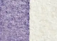 Akvarelová barva DS 15ml – 4005 Interference Lilac