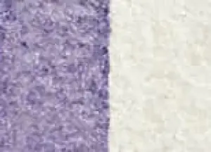 Akvarelová barva DS 15ml – 4005 Interference Lilac