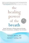 The Healing Power of the Breath - Patricia L. Gerbarg, Richard P. Brown
