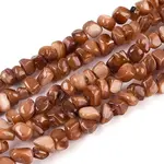 Natural Freshwater Shell Beads Strands