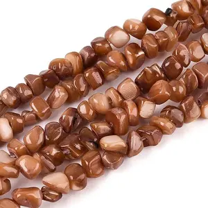 Natural Freshwater Shell Beads Strands