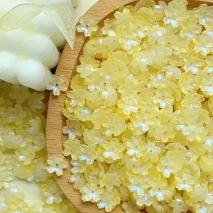 Electroplate Transparent Glass Beads