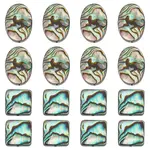 16Pcs 2 Colors Natural Abalone Shell/Paua Shell Beads Strands