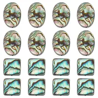 16Pcs 2 Colors Natural Abalone Shell/Paua Shell Beads Strands