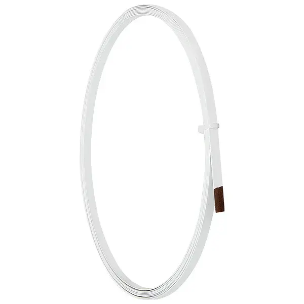 Iron with Plastic Boning