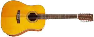 Tanglewood TW4012SDANE