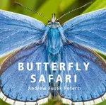 Butterfly Safari - Andrew Fusek Peters