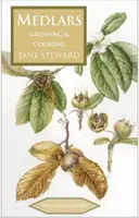 Medlars - Jane Steward