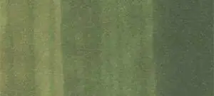 Copic sketch marker - G99 olive