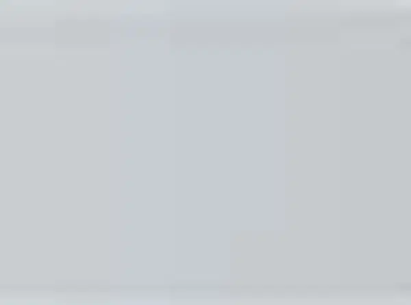 Pastel Caran d'Ache Neocolor II 498 Silver