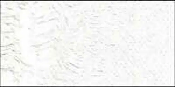 Olejová barva Old Holland 40ml – 002 Zinc White