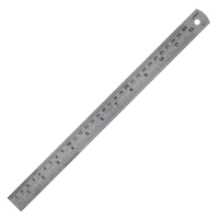 Linex - Pravítko LINEX ocelové SL30 30 cm