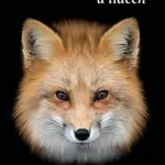 O liškách a lidech - Po stopách našich mazaných sousedů - Sophia Kimmig