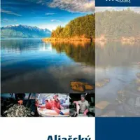 Aljašský Zaměstnanecký Program - Miroslav Medňanský - e-kniha