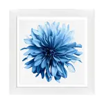 Nástenná dekorácia v ráme 70 x 70 cm