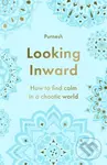 Looking Inward (How to Find Calm in a Chaotic World) - Purnesh