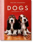 Dogs (Photographs 1941-1991) - Walter Chandoha - kniha z kategorie Chov zvířat