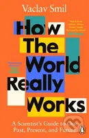 How the World Really Works (A Scientist's Guide to Our Past, Present and Future) - kniha z kategorie Odborné a naučné