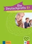 Die Deutschprofis B1. Testheft mit Audios online