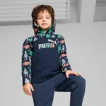 Puma X PLAYMOBIL Hoodie TR 110