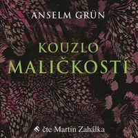Kouzlo maličkostí (MP3-CD) - audiokniha