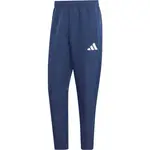 adidas ENTRANDA 26 PRESNTATION PANT Pánské tepláky, tmavě modrá, velikost