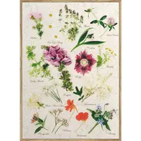 Monee TIŠTĚNÉ OBRAZY NA PLÁTNĚ, květiny, 51,2/71,2 cm