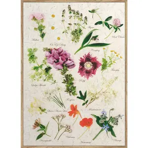 Monee TIŠTĚNÉ OBRAZY NA PLÁTNĚ, květiny, 51,2/71,2 cm