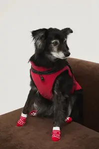 Bunda pro mazlíčka Medicine