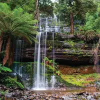Euroart OBRAZ NA SKLE, krajina a příroda, 20/20/1,40 cm
