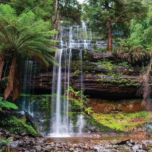 Euroart OBRAZ NA SKLE, krajina a příroda, 20/20/1,40 cm