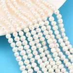 Natural Cultured Freshwater Pearl Beads Strands