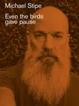 Michael Stipe: Even the birds gave pause - Michael Stipe