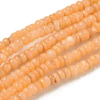 Dyed Natural Freshwater Shell Beads Strands