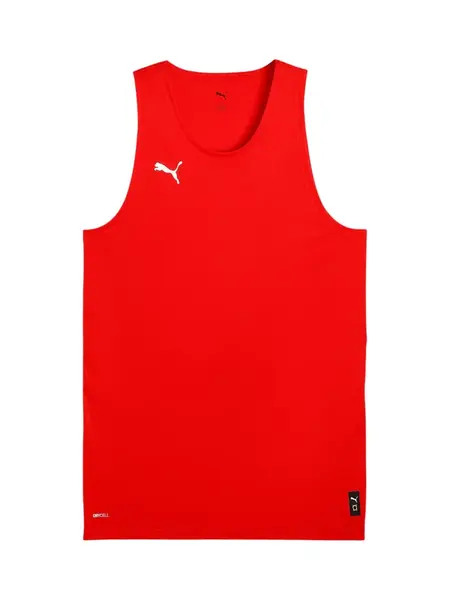 PUMA Funkčné tričko 'Teamjaws Starter'  červená
