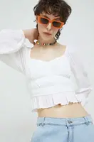 Halenka Hollister Co.