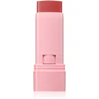 Astra Make-up IDENTISTICK krémová lícenka v tyčinke 02 - Pink Profile 1 ks