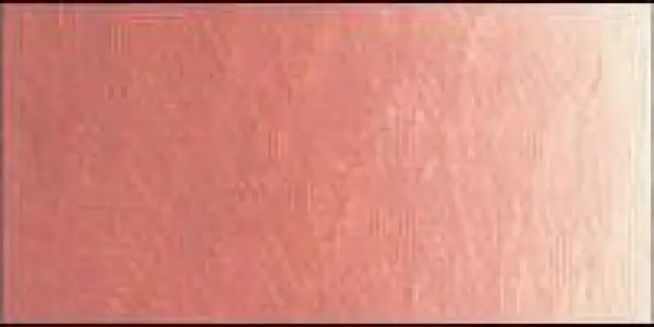 Olejová barva Old Holland 40ml – 115 Old Holland Pink Medium