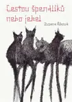 Cestou špendlíků nebo jehel - Zuzana Říhová - e-kniha