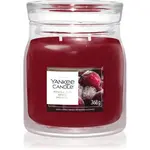 Yankee Candle Woodland Spice vonná svíčka 368 g