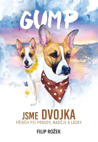 Gump: Jsme dvojka (poškozené) - Filip Rožek