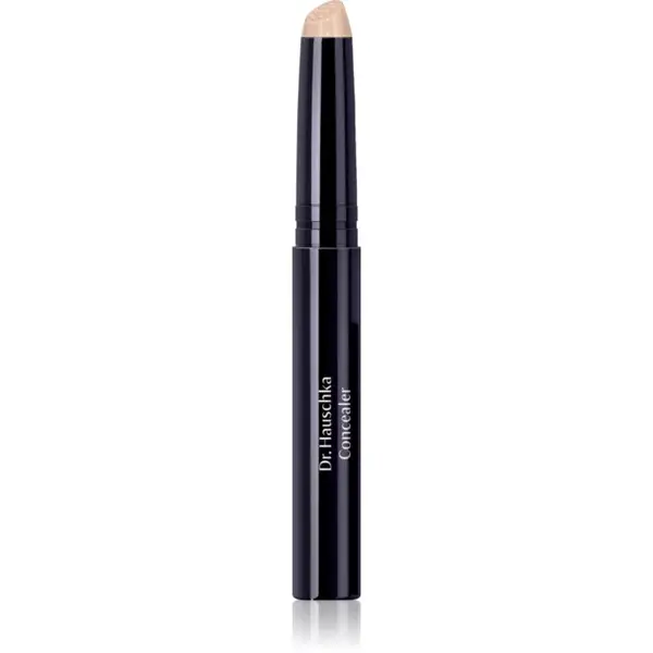 Dr. Hauschka Make-Up Concealer krycí korektor odstín 02 chestnut 2.5 ml