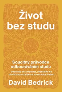 Život bez studu - Soucitný průvodce odbourávání studu - David Bedrick