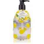Accentra Essential Botanicals Hand Soap tekuté mýdlo na ruce s pumpičkou 300 ml