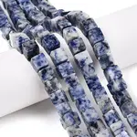 Natural Blue Spot Jasper Beads Strands