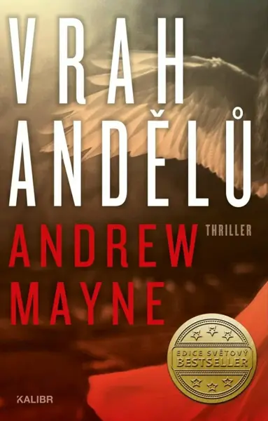 Vrah andělů (poškozené) - Andrew Mayne