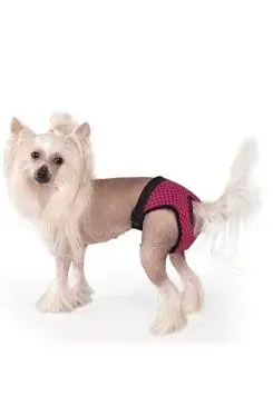 Hárací kalhotky Fun Colours XL