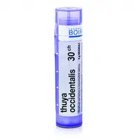 Thuya occidentalis 30CH granule 4g