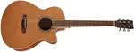 Tanglewood TSC4 CE