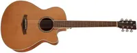 Tanglewood TSC4 CE
